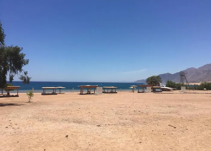 Deluxe Seahorse - Lagoon * Dahab